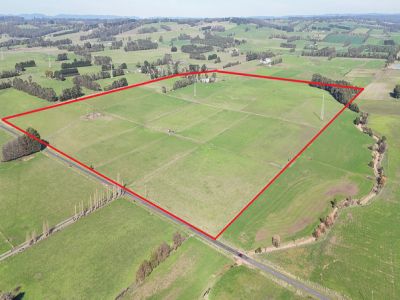 COLAC DISTRICT HOLDING