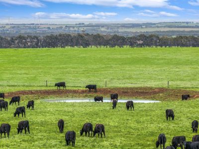 'BARBRECK' PRIME FARMING COUNTRY &NDASH; EXCEPTIONAL LOCATION