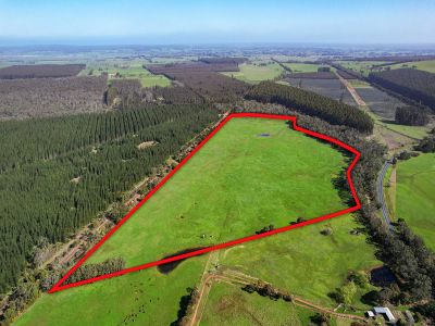 RARE SIZED RESPONSIVE OUTPADDOCK