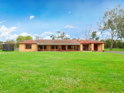PREMIUM RURAL LIFESTYLE & STUD LIVESTOCK OPPORTUNITY