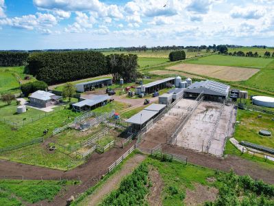 MEDIUM SCALE DAIRY FARM &NDASH; EXPANSION OPPORTUNITIES &NDASH; IRRIGATION