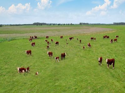 NOTABLE CATTLE COUNTRY &NDASH; LONGSTANDING FAMILY OWNERSHIP
