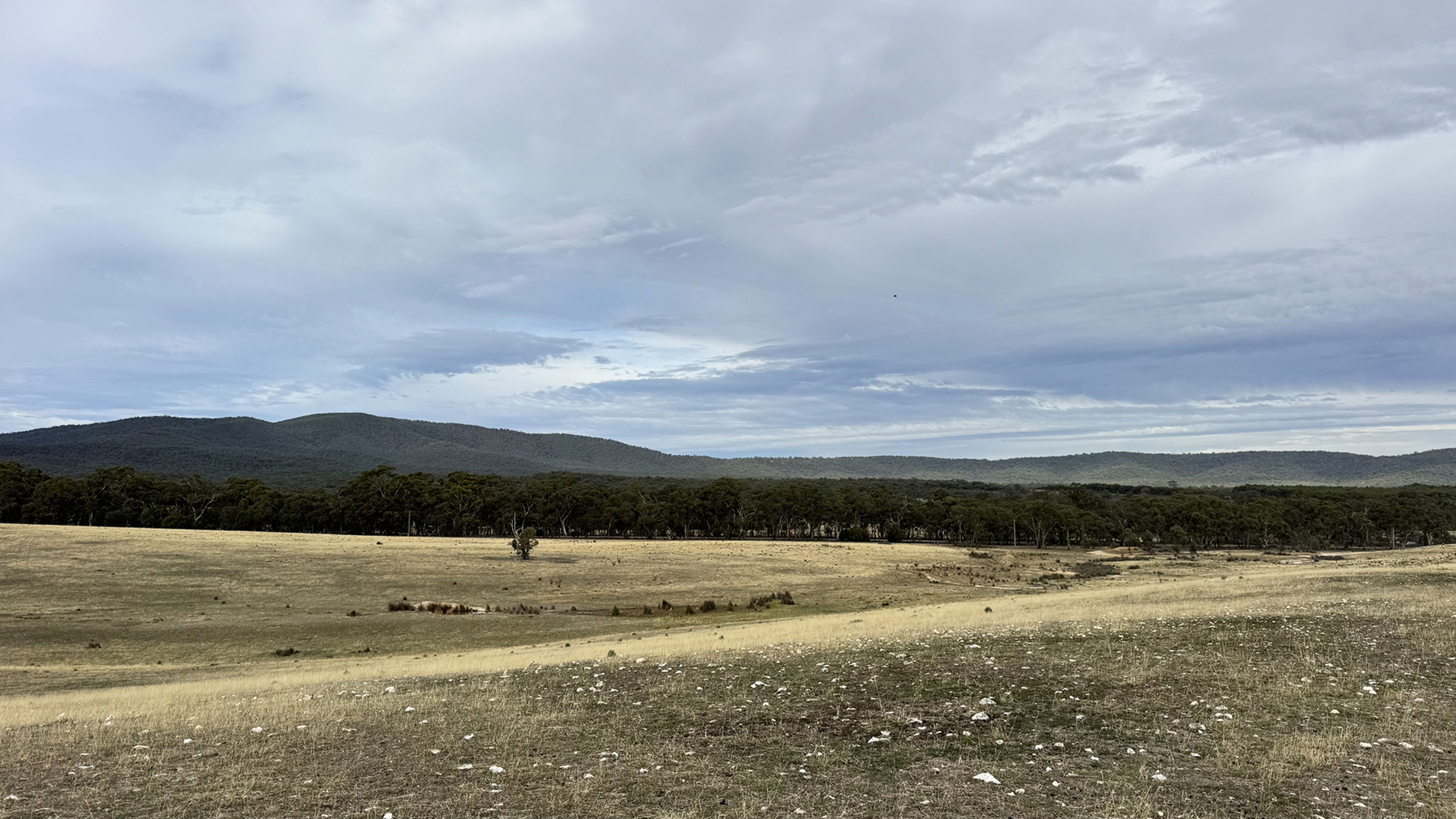 PYRENEES DISTRICT LIFESTYLE OR WEEKEND RETREAT ACREAGE