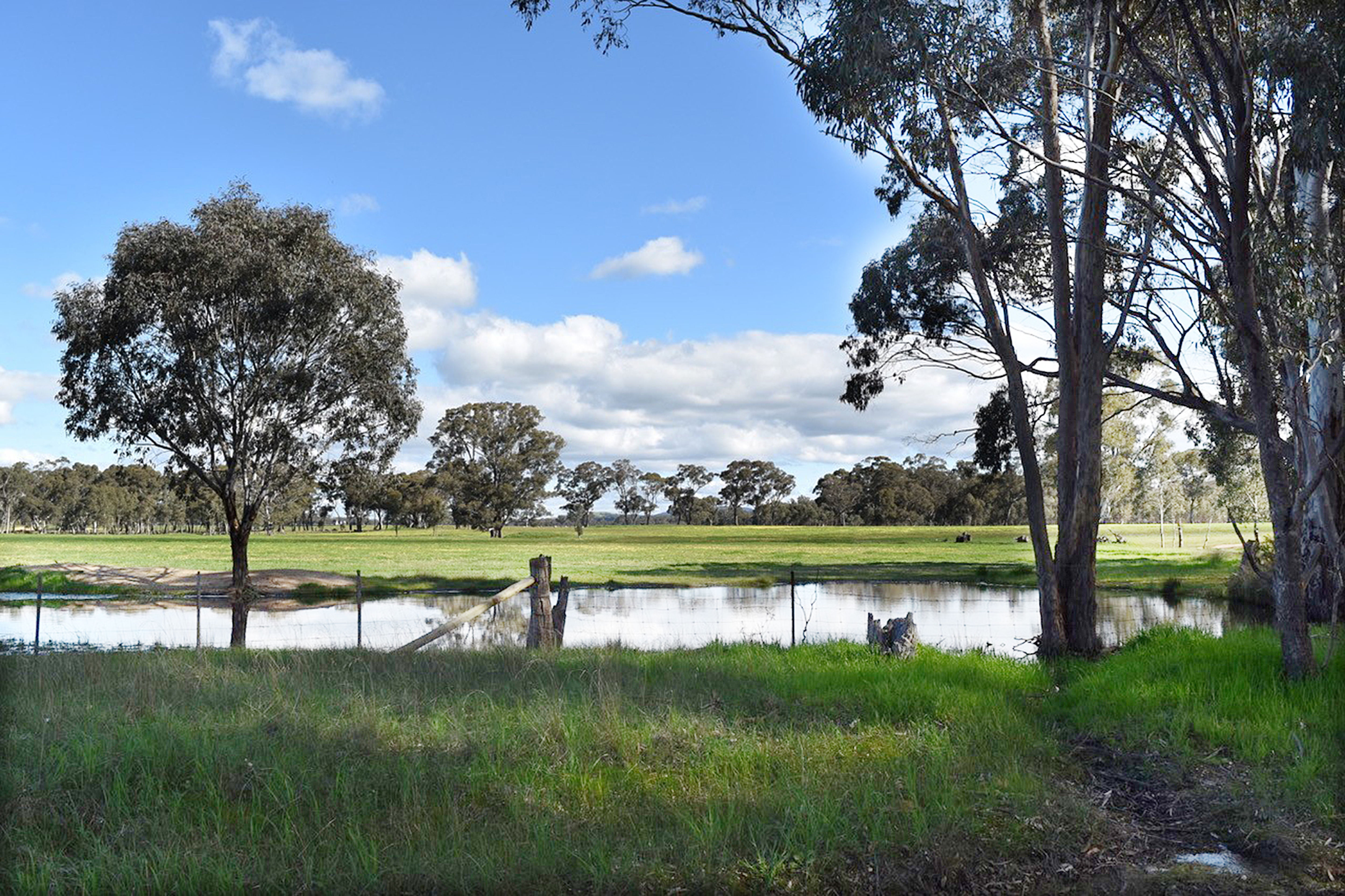 MAGNIFICENT RURAL BLOCKS | 5KM FROM AVOCA